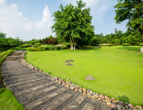 La importancia del cuidado de los jardines y parques en las ciudades